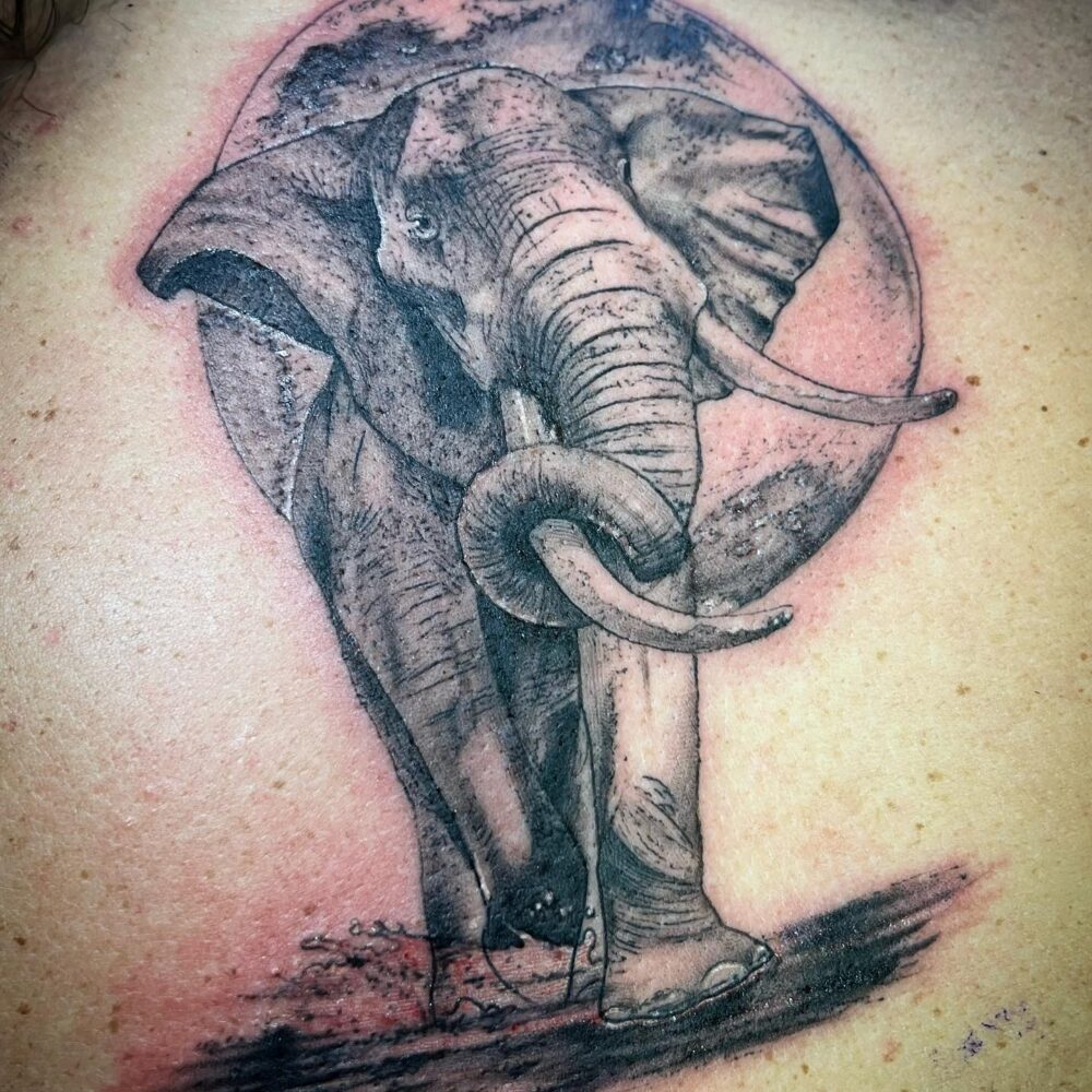 elephant-tattoo